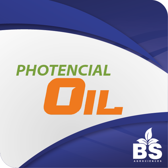 PHOTENCIAL OIL