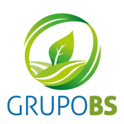 Grupo BS - Logo2